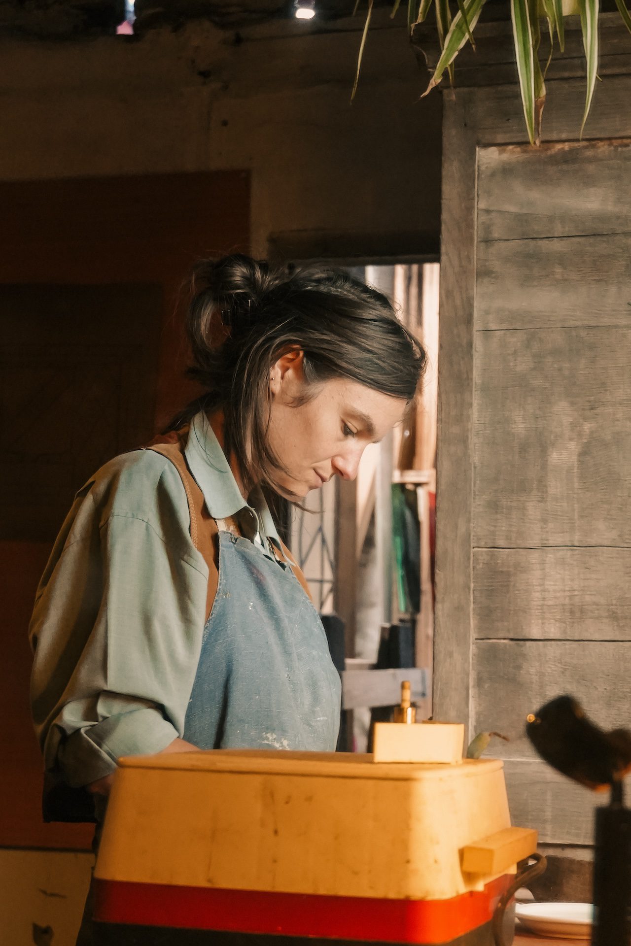 DSC00953 Photographe à Morestel